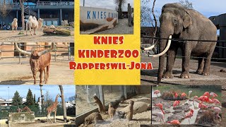 KNIES KINDERZOO Rapperswil Jona [upl. by Selin]