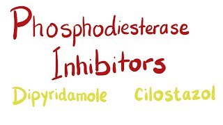 Phosphodiesterase PDE Inhibitors [upl. by Alodie730]