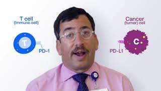 Explaining Immunotherapy PDL1 and PD1 [upl. by Htaeh]