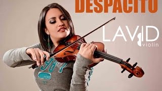 Despacito Luis Fonsi ft Daddy Yankee  Violin Cover  La Vid Violin [upl. by Accissej298]