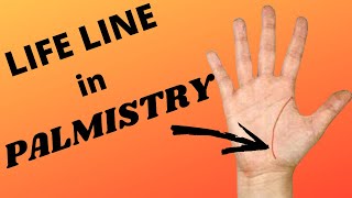 Life Line in Palmistry [upl. by Eneloc790]