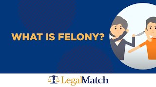 What is a Felony [upl. by Lienaj]