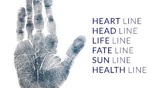 Palmistry Fate Line Head Line Heart Line Life Line Sun Line Health Line Analysis 312 [upl. by Tessi]