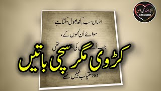 Heart Touching and Amazing Urdu Quotes Collection  Aqwal e Zareen [upl. by Twedy98]