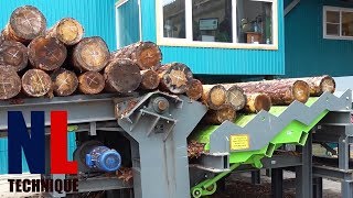 Amazing Sawing Lines with Automatic Sawmill Machines  Modern Wood Processing Factory [upl. by Spring970]