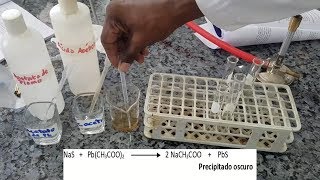 Experimento 2 parte 3  Identificación de Azufre en Sustancias Orgánicas [upl. by Eronel37]