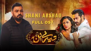 Tere Bin OST 2022  Shani Arshad  New Song Released [upl. by Menard]