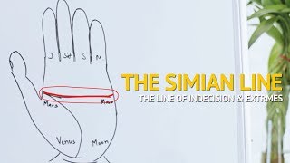 Palmistry  Understanding the SIMIAN line Indecisive amp Extreme Personality [upl. by Yrovi]