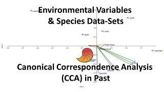 Canonical Correspondence Analysis CCA Past Statistical Software  Biostatistics  Statistics Bio7 [upl. by Ahsei]