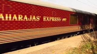 Maharajas Express  Luxury Train of India [upl. by Travus]