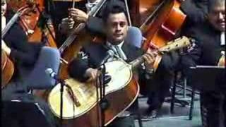 VIOLIN HUAPANGO MARIACHI VARGAS DE TECALITLAN [upl. by Atibat]