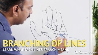 Branching of Lines in Hand  Palmistry [upl. by Arihk844]