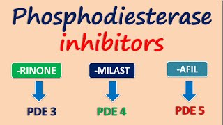 Phosphodiesterase inhibitors [upl. by Oninotna]