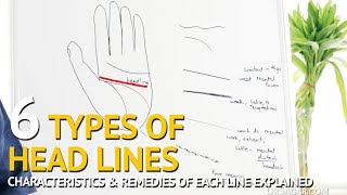 Palmistry  The 6 Types of HEAD Lines Explained BrokenStraightTinyChainedBranchedBending [upl. by Schaefer920]