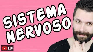 SISTEMA NERVOSO  FISIOLOGIA  Aula  Biologia com Samuel Cunha [upl. by Assej401]