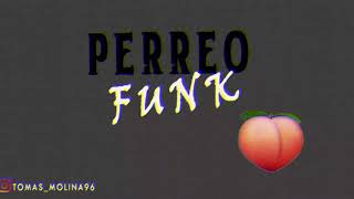 PERREO FUNK  MIX BOLICHERO N° 20  TERRIX DJ [upl. by Ecnerol]