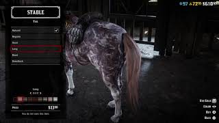 Red Dead Redemption 2 Online  Marble Sabino Horse  Criollo Horse [upl. by Bryce179]