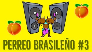 MIX PERREO BRASILEÑO 3  DJ DEIVID [upl. by Ninon]