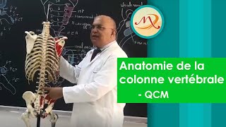 Anatomie de la colonne vertébrale QCM [upl. by Waldo]