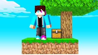 Ik Speel SKYBLOCK In MINECRAFT [upl. by Lynette]