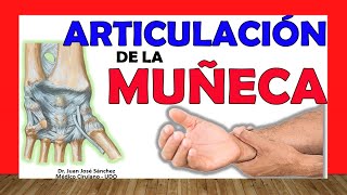 🥇 ARTICULACIÓN DE LA MUÑECA ¡Fácil Explicación [upl. by Ahsinak]