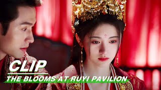 Clip Ju Jingyi amp Zhang Zhehan Get Married  The Blooms At RUYI Pavilion EP40  如意芳霏  iQIYI [upl. by Arzed98]