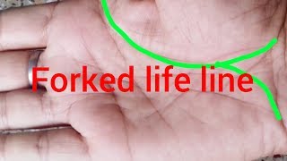 Forked life line palmistry forked life line [upl. by Hsaka]