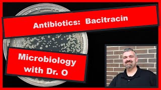 Bacitracin Antibiotic and Neosporin Microbiology [upl. by Fairley93]