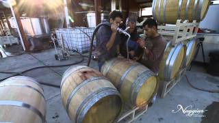 Vine to Wine Winemaking at Naggiar Vineyards [upl. by Ayotl]