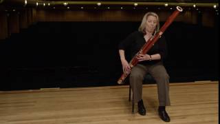 What does a bassoon sound like Ode to Joy [upl. by Nesyla]