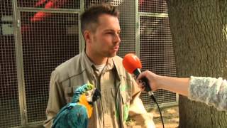 Ein Tag im Weltvogelpark Walsrode [upl. by Emoryt]