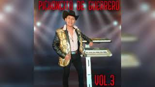 El Pichoncito De Guerrero – Violín Borracho 2020 [upl. by Atel]