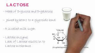 Biochemistry of Oligosaccharides [upl. by Cohby]