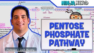 Metabolism  Pentose Phosphate Pathway [upl. by Airekat]