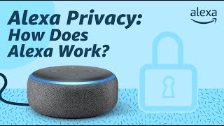 Alexa Privacy How Does Alexa Work [upl. by Gaynor836]