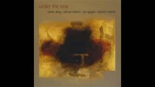 Ottmar Liebert The Rose Full album [upl. by Llerihs]