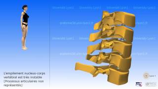 La colonne cervicale [upl. by Sesmar]