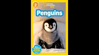 National Geographic Kids Penguins read aloud [upl. by Nerat608]