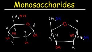 Monosaccharides  Glucose Fructose Galactose amp Ribose  Carbohydrates [upl. by Ramled]