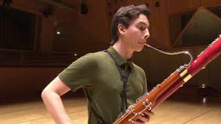 Paganini Caprice No 5  Theo Plath bassoon [upl. by Moonier]