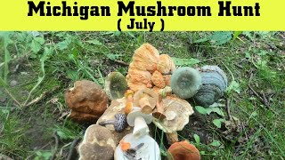 Michigan Mushroom Hunt  Mushrooms That Can Be Harvested In July [upl. by Johan529]