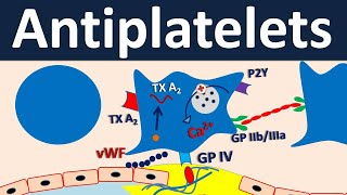 Antiplatelets  Pharmacology in easy way [upl. by Nnairahs]