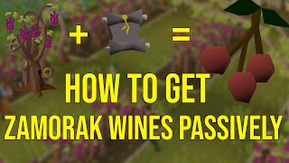 OSRS Zamorak Wines Collection Passively Great For HCIM [upl. by Maurizio]