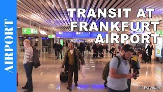 TRANSIT WALK AT FRANKFURT Airport FRA Terminal 1  Connection Flight Transfer Arriving amp Departing [upl. by Melisa]