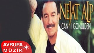 Nejat Alp  Bir Sen Olsaydın Official Audio [upl. by Prochora]