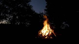 🔥 Camping in the Forest with a Relaxing Crackling Campfire and the Sound of Night Animals Around You [upl. by Wasserman]