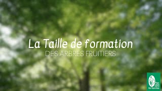 2 TAILLE DE FORMATION  Tutoriel [upl. by Vergos]