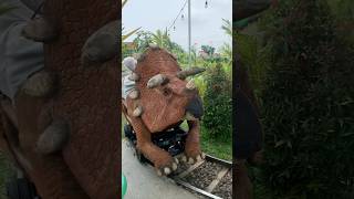 NAIK KERETA DINOSAURUS TRICERATOP BARENG ADEK KAKA [upl. by Bonny773]